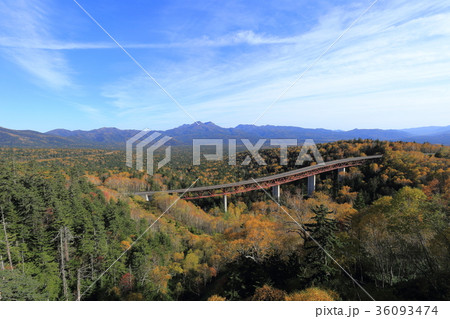 北海道　上士幌　三国峠絶景 36093474