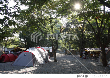 風景 屋外 室外 36093722