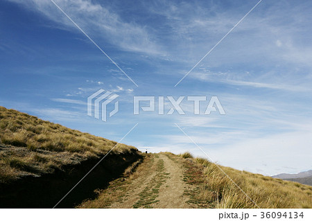 ニュージーランドの 南島 フル 36094134