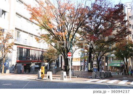 麻布十番パティオ 36094237