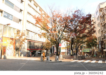 麻布十番パティオ 36094242