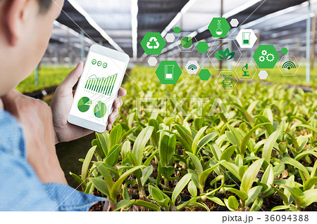 agriculture technology concept man Agronomist agriculture technology concept man Agronomist 36094388