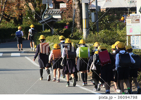 小学生の通学路 小学生の通学路 36094798