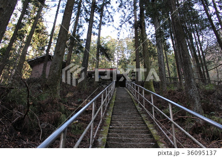 下仁田・蒔田不動神社 36095137