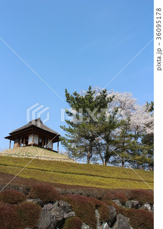 甘楽町小幡散策（楽山園の梅の茶屋） 36095178