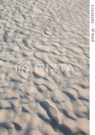 砂の風紋 36095423