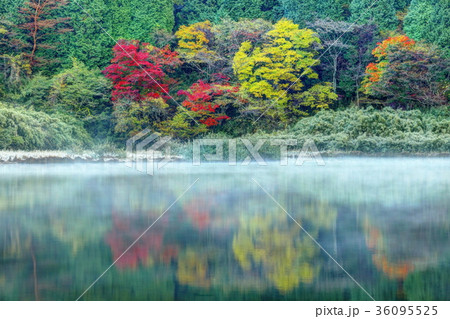 箱根お玉ヶ池の夜明け 36095525