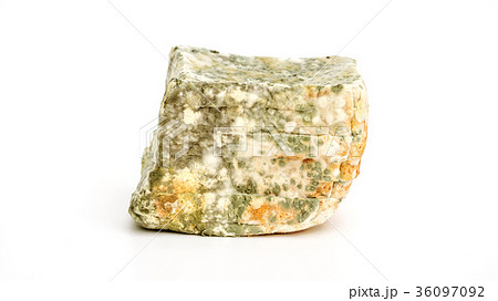 bread has a fungus on a white background. bread has a fungus on a white background. 36097092