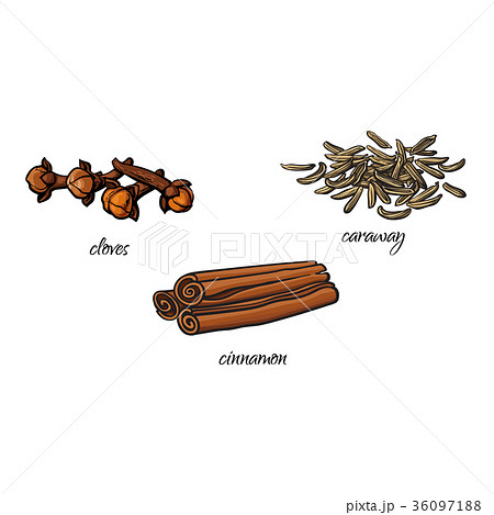 vector flat sketch spices, condiments herbs set 36097188