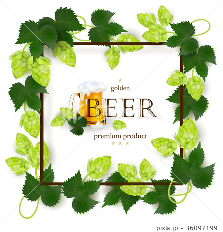 Emblem, label design with beer mug, frame of hops Emblem, label design with beer mug, frame of hops 36097199