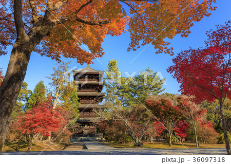 仁和寺の紅葉 仁和寺の紅葉 36097318