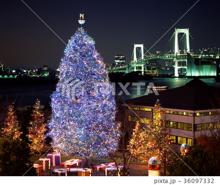 お台場のクリスマスツリーとレインボーブリッジ 36097332