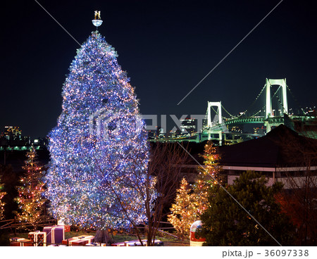 お台場のクリスマスツリーとレインボーブリッジ 36097338