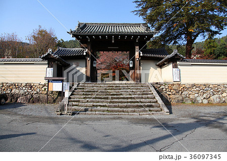 実相院　四脚門 36097345