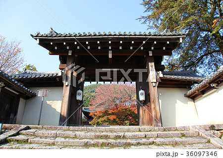 実相院　四脚門 36097346