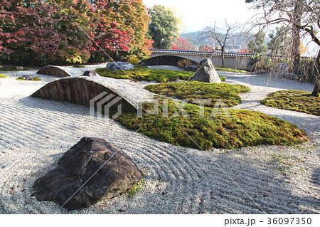 実相院　石庭　こころのお庭 36097350