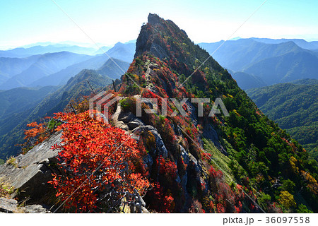 紅葉石鎚山天狗岳 愛媛県西条市 ヨコ の写真素材