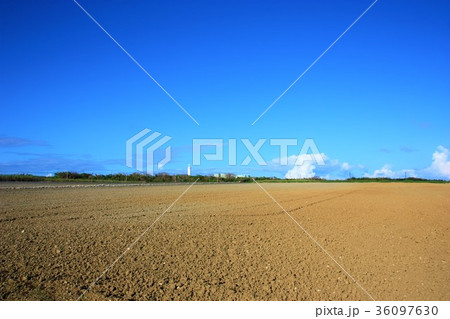 八重山　波照間島の風景 36097630