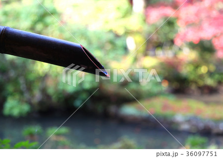 実相院　竹筒 36097751