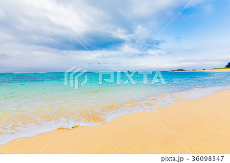 土盛海岸　奄美大島 36098347