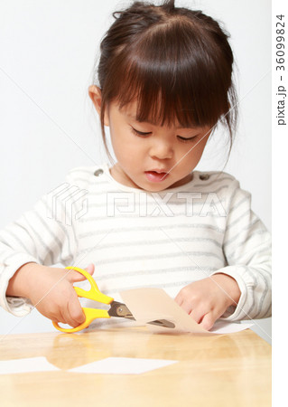 はさみで紙を切る幼児 3歳児 の写真素材