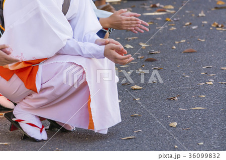 祭りイメージ　阿波踊り 36099832