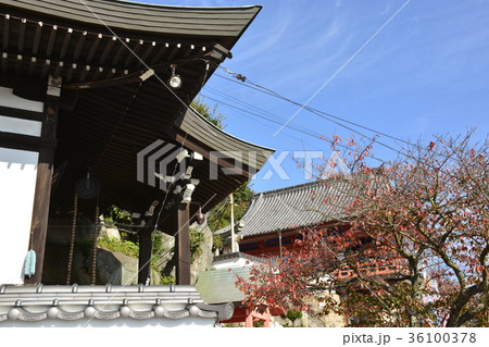 【広島県 尾道市】千光寺本堂 36100378