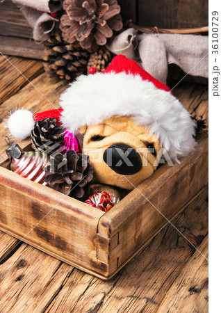 Christmas decoration with toy dog 36100729