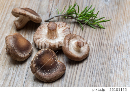 Shiitake mushrooms on wooden background Concept Shiitake mushrooms on wooden background Concept 36101153
