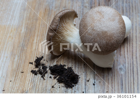 Trumpet Mushroom on wooden background concept 36101154