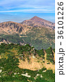 A beautiful view of the mountain range 36101226