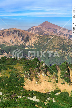 A beautiful view of the mountain range 36101226