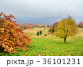 Picturesque autumn scenery in the mountains  36101231
