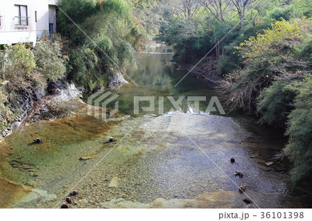 養老渓谷 36101398