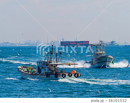 明石海峡いかなご漁 36101532