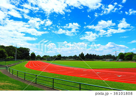 新座市総合運動公園の陸上競技場の真夏の風景の写真素材