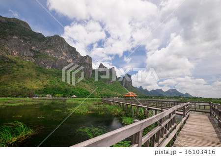 Small Pavillion on wooden bridge in swamp. 36103416