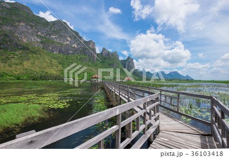 Small Pavillion on wooden bridge in swamp. Small Pavillion on wooden bridge in swamp. 36103418
