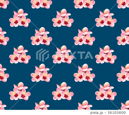 Momo Peach Flower Blossom Indigo Blue Background Momo Peach Flower Blossom Indigo Blue Background 36103600