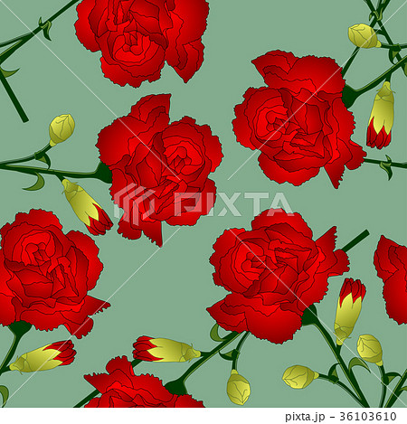 Red Carnation Flower on Green Background 36103610