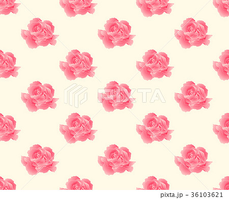 Pink Carnation Seamless on Beige Ivory Background Pink Carnation Seamless on Beige Ivory Background 36103621