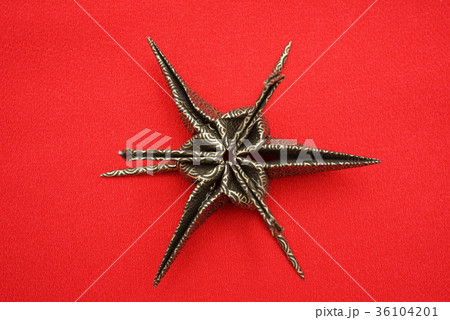 澤瀉（おもだか） 36104201