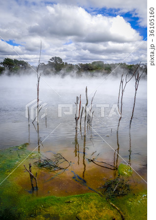 Hot springs lake in Rotorua, New Zealand Hot springs lake in Rotorua, New Zealand 36105160