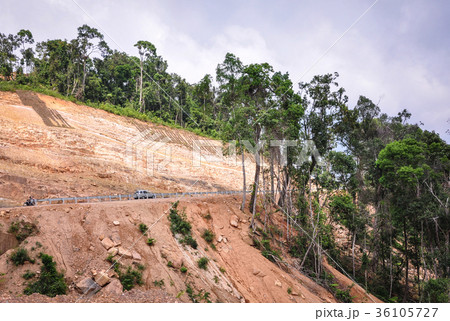 Mountain road with green forest 36105727