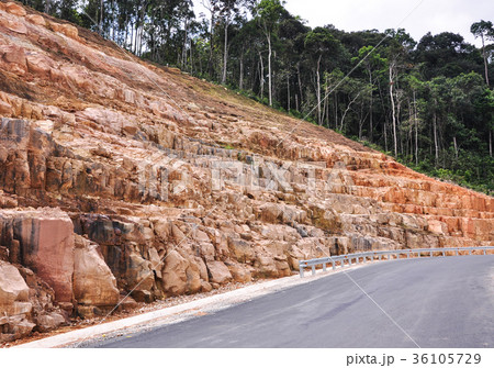 Mountain road with green forest 36105729