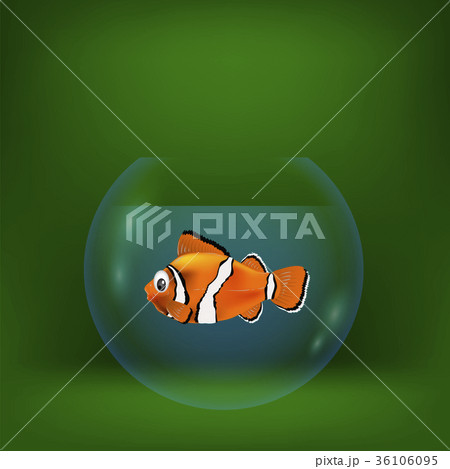 colorful illustration with sea clown fish 36106095