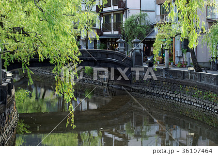 城崎温泉 大谿川 城崎温泉 大谿川 36107464