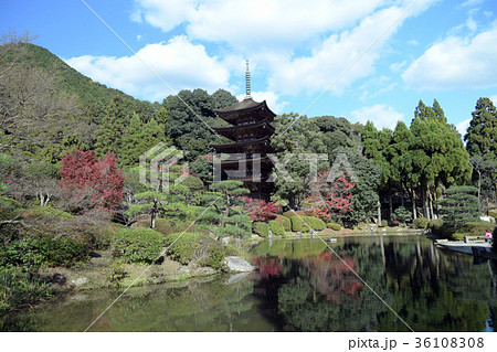 国宝　瑠璃光寺　五重塔 36108308