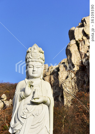 菩提庵 金山 南海郡 36109390