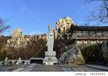 菩提庵 南海郡 古建築 36109391